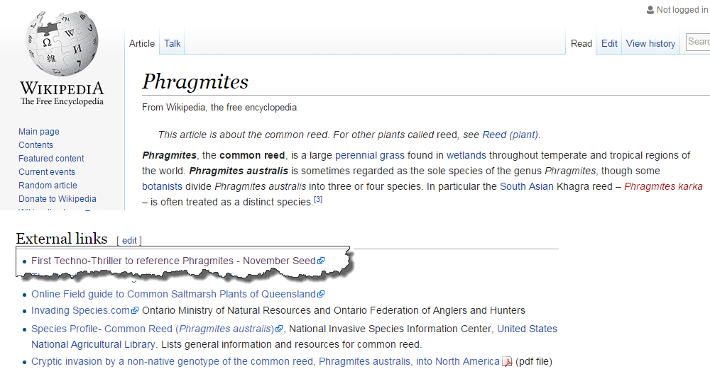 Wiki_Phragmites