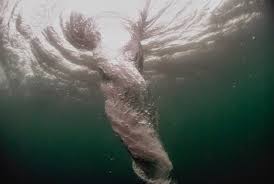 Are micro black holes the next-gen nuke, business opportunity or transport&nbsp;system?